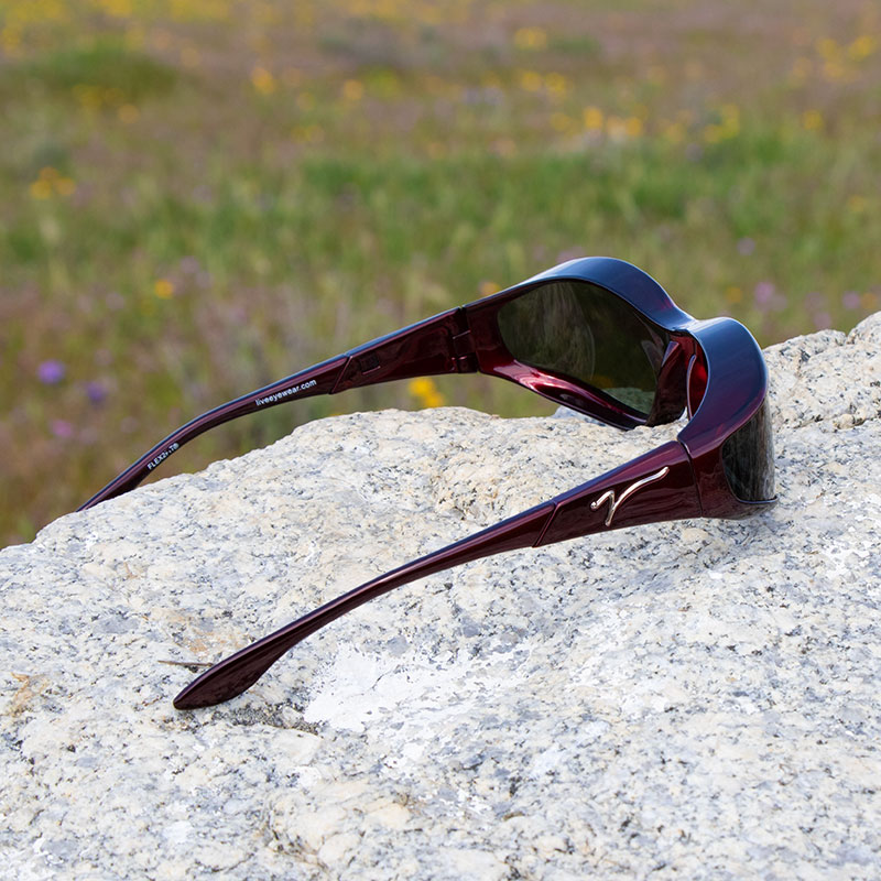 Vistana Small (S) Cherry Polarized Gray - Image 3