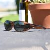 Medium sized Cocoons fitover sunglasses