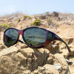 Slip Stream (LX) Black Cherry Polarized Gray