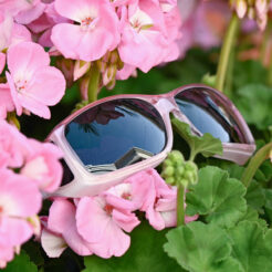 Wide Line (ML) Blush Polarized Gray