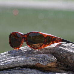 Stream Line (S) Tortoise Polarized Amber