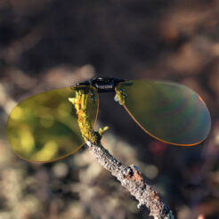 Flip-Ups Aviator 58 Lemon