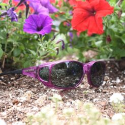 Style Line (MX) Amethyst Polarized Gray