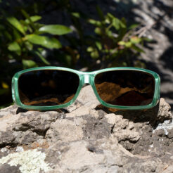 Wide Line (ML) Sage Polarized Amber