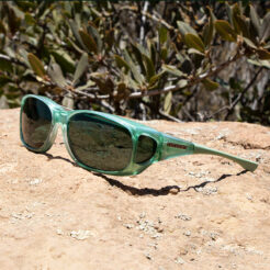 Style Line (MX) Sage Polarized Gray